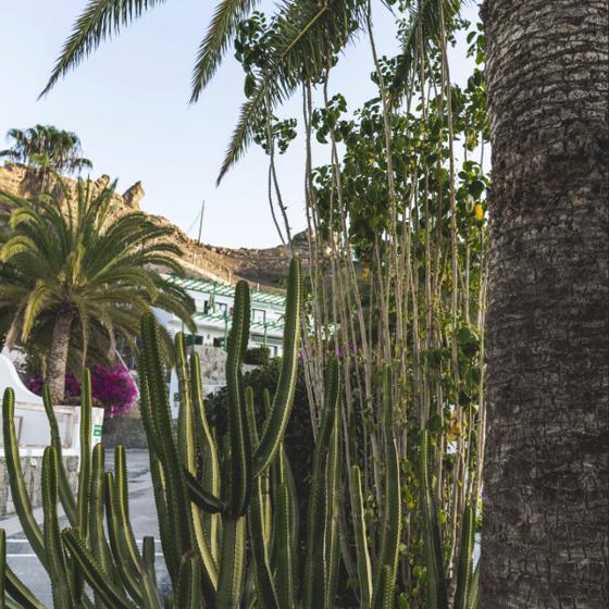 Outdoors Marina Bayview Canary Islands Outdoors Marina Bayview Canary Islands